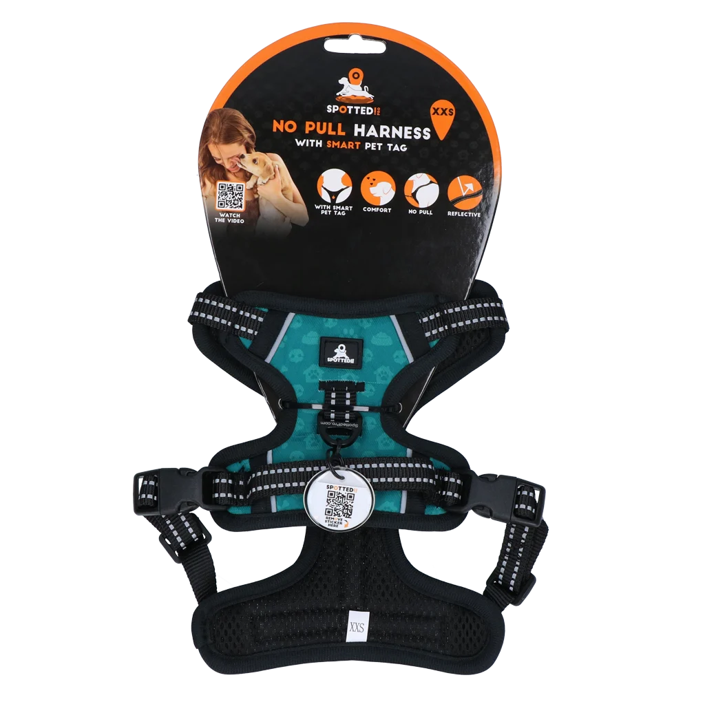 Pettorina per cani anti tiro con maniglia, verde XXS – Spotted! Pro No Pull - immagine 1