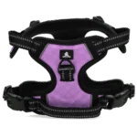Pettorina anti tiro per cane con maniglia, viola XS – Spotted! Pro No Pull - immagine 3
