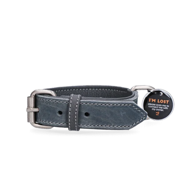 Collare per cani in pelle con medaglietta digitale, 50 cm, grigio – Spotted! Pro