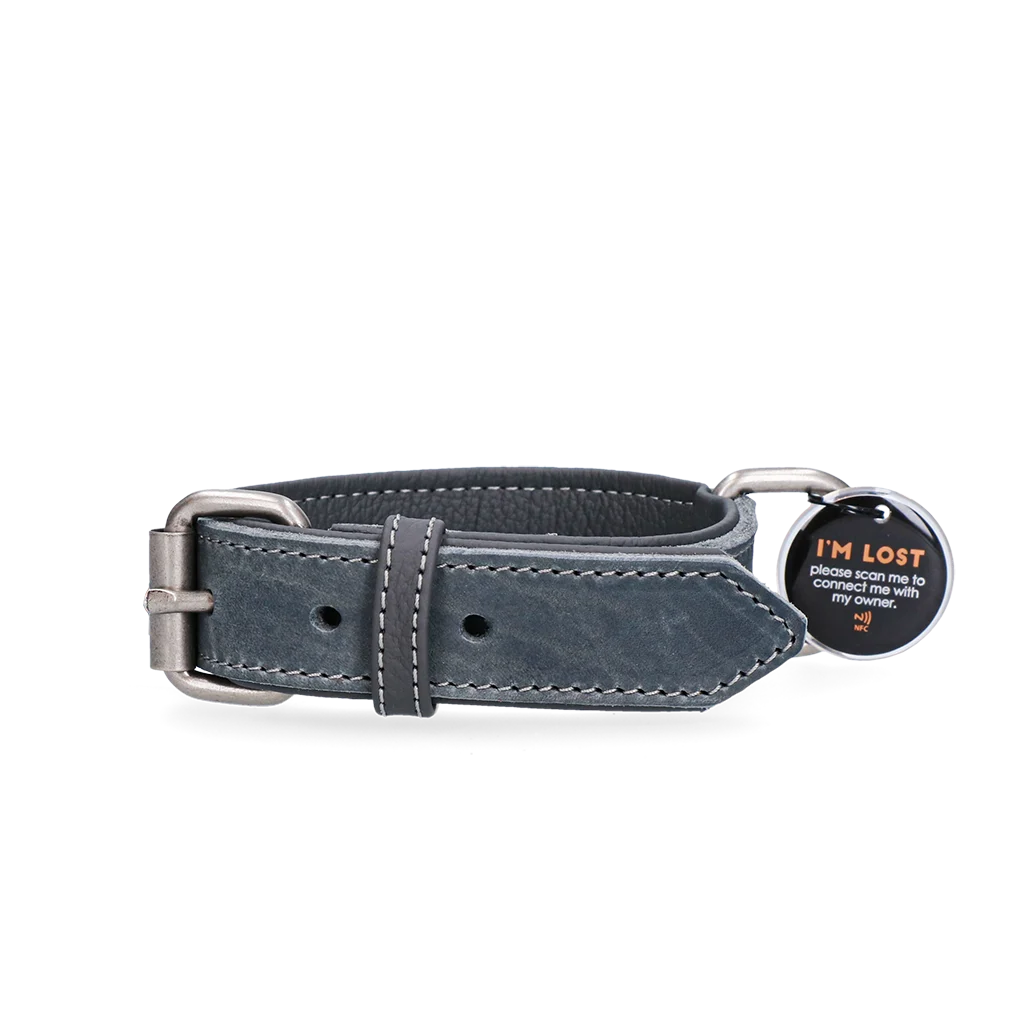 Collare per cani in pelle con medaglietta digitale, 50 cm, grigio – Spotted! Pro - immagine 1