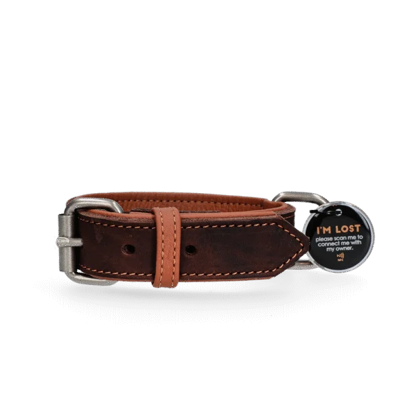 Collare per cani in pelle con medaglietta digitale, 50 cm, marrone – Spotted! Pro