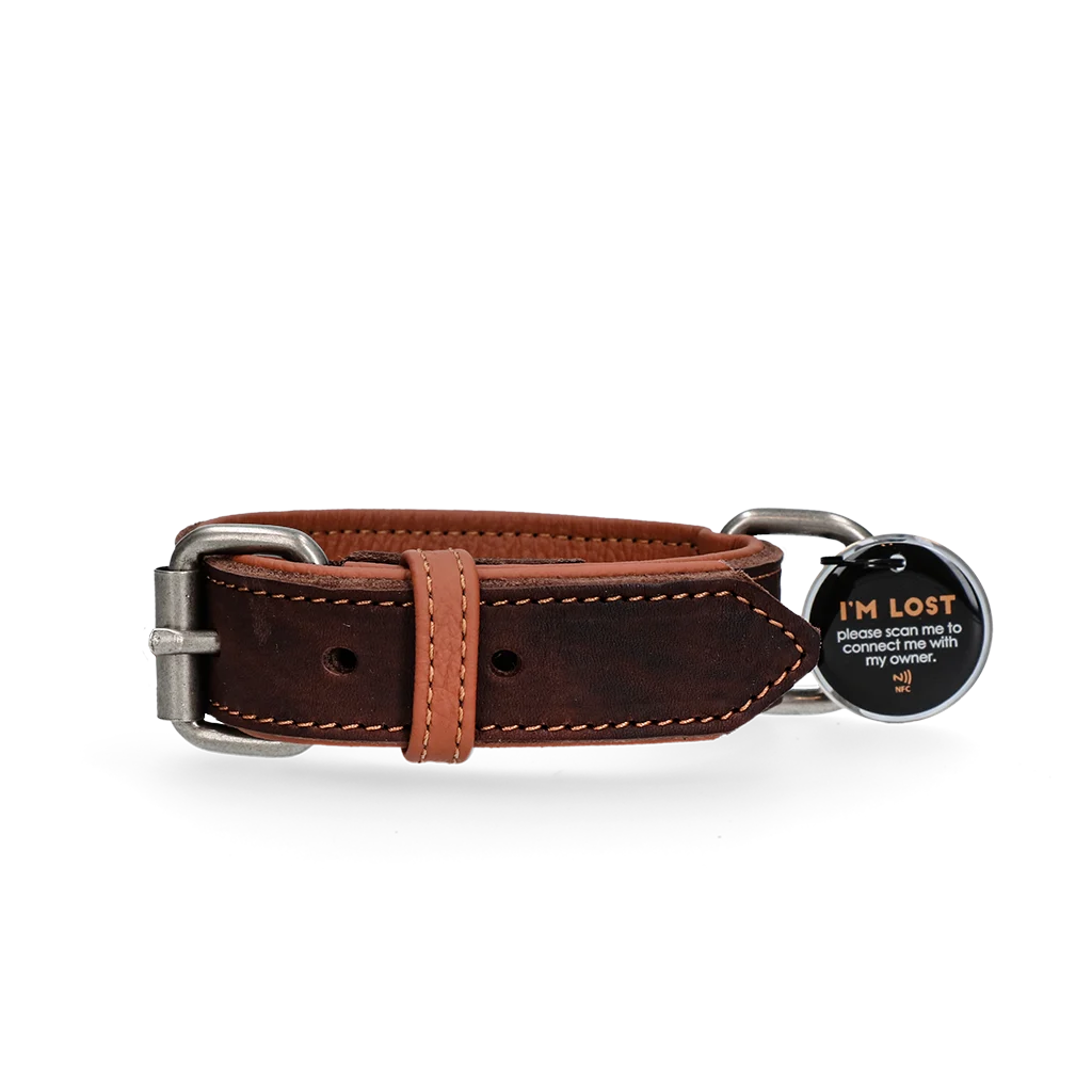 SPOT0030C.png Collare per cani in pelle con medaglietta digitale, 50 cm, marrone – Spotted! Pro - immagine 1