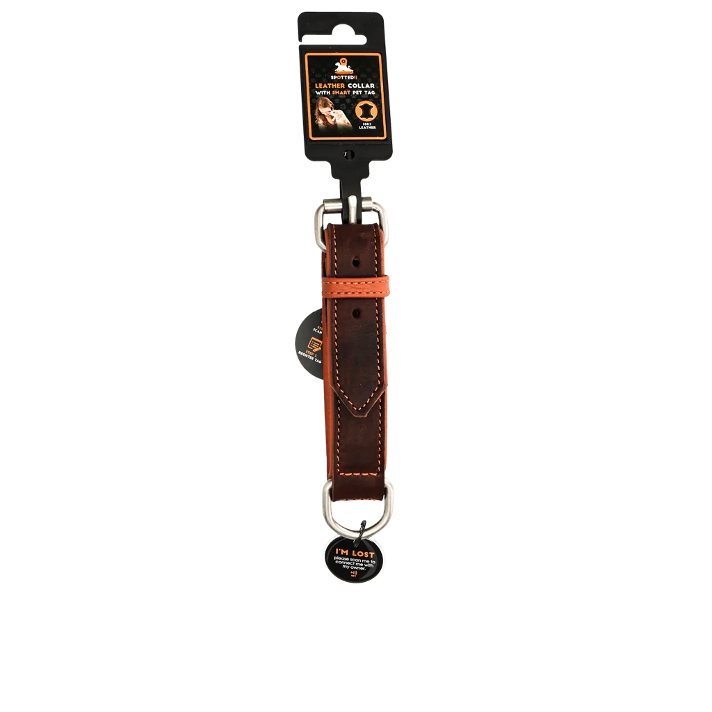 Collare per cani in pelle con medaglietta digitale, 50 cm, marrone – Spotted! Pro - immagine 3