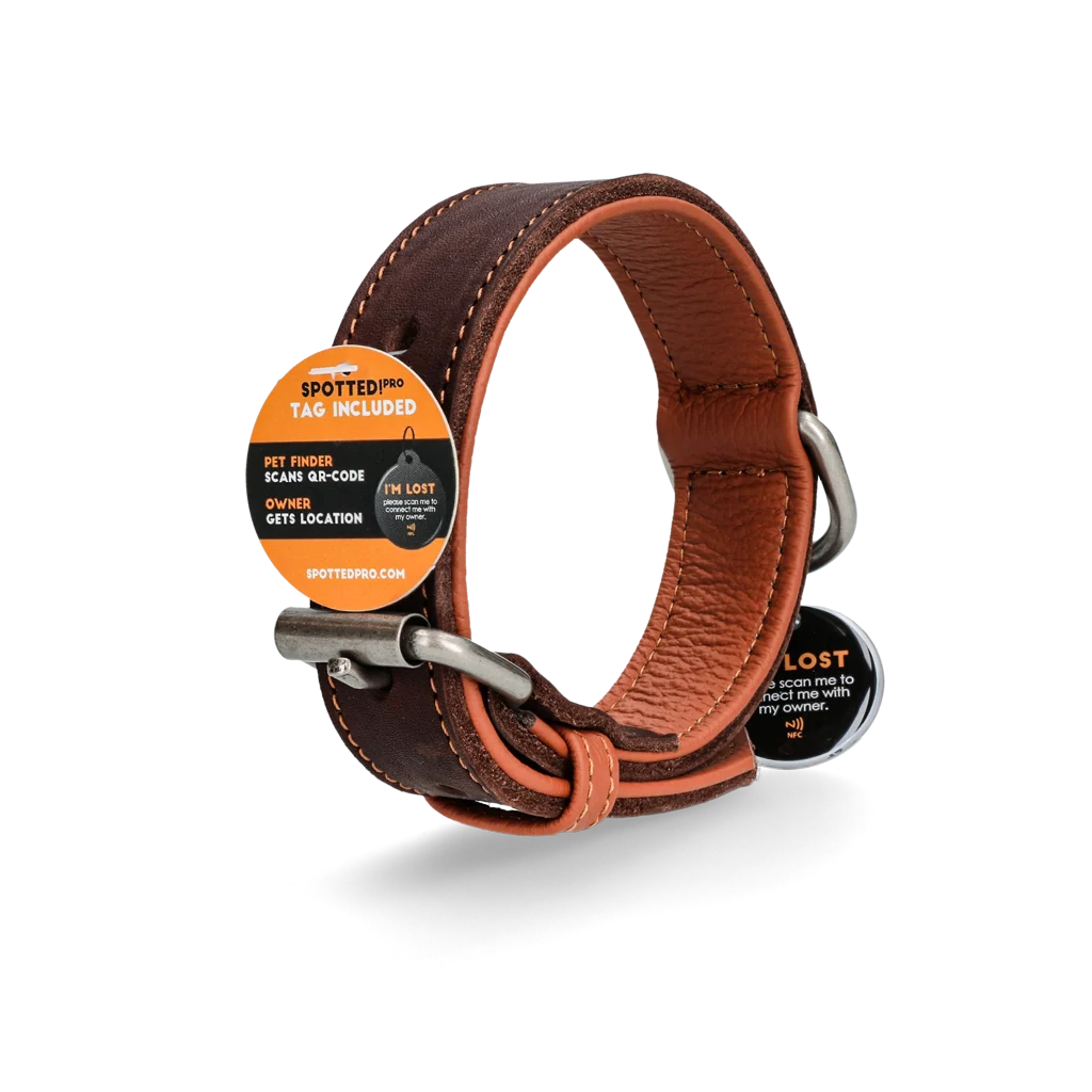 Collare per cani in pelle con medaglietta digitale, 50 cm, marrone – Spotted! Pro - immagine 4