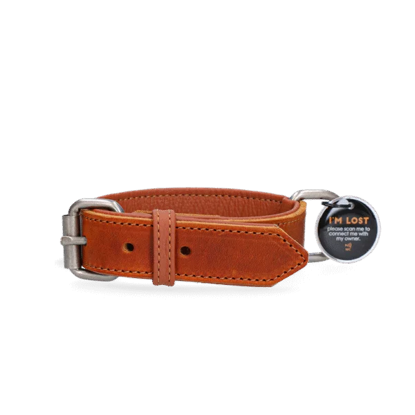 Collare in pelle per cani con medaglietta digitale, 55 cm, cognac – Spotted! Pro
