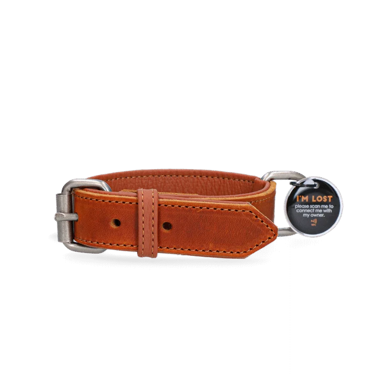 Collare in pelle per cani con medaglietta digitale, 55 cm, cognac – Spotted! Pro