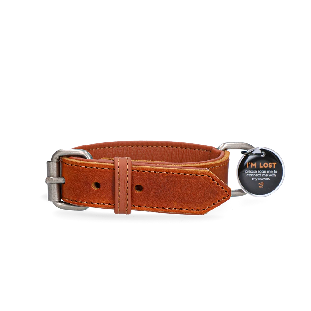 Collare in pelle per cani con medaglietta digitale, 55 cm, cognac – Spotted! Pro - immagine 1