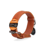Collare in pelle per cani con medaglietta digitale, 60 cm, cognac – Spotted! Pro - immagine 3