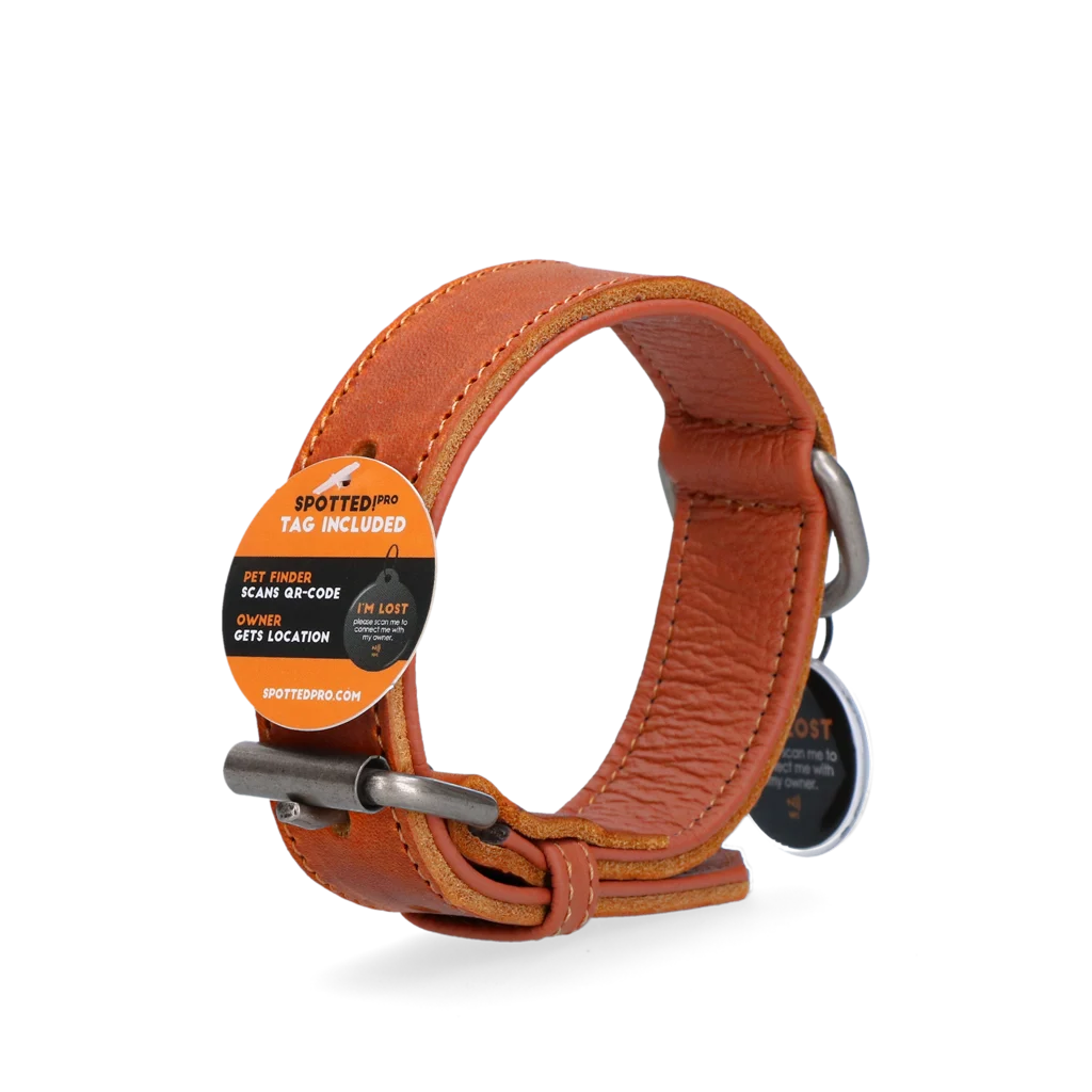 Collare in pelle per cani con medaglietta digitale, 60 cm, cognac – Spotted! Pro - immagine 3