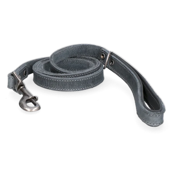 Guinzaglio per cani in pelle con impugnatura imbottita, grigio, 130 x 1,8 cm – Spotted! Pro