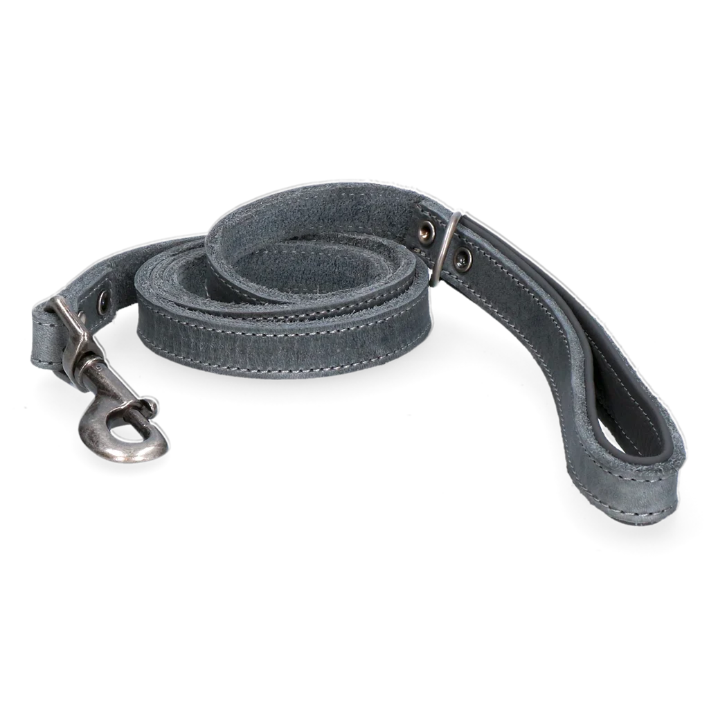 Guinzaglio per cani in pelle con impugnatura imbottita, grigio, 130 x 1,8 cm – Spotted! Pro - immagine 1