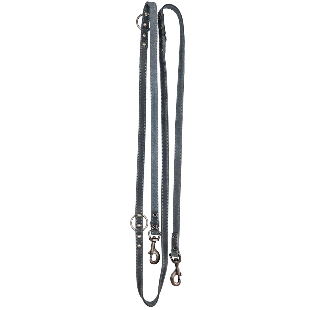 Guinzaglio da addestramento per cani in pelle, grigio, 250 cm x 16 mm – Spotted! Pro - immagine 1