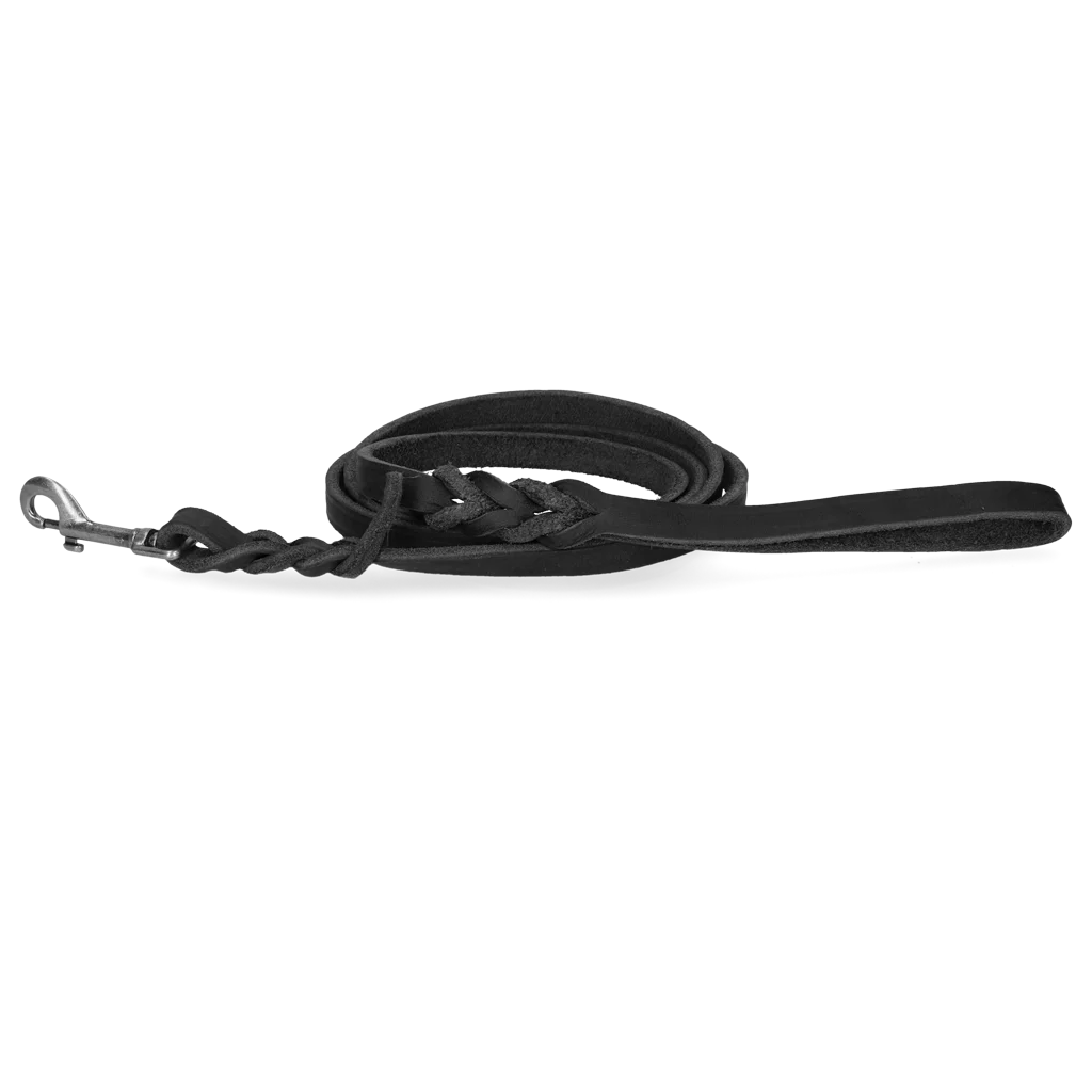 SPOT0046A.png Guinzaglio da esposizione per cani in pelle con moschettone, nero, 180 cm x 12 mm – Spotted! Pro - immagine 1