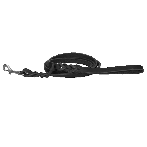 Guinzaglio da esposizione per cani in pelle con moschettone, nero, 180 cm x 16 mm – Spotted! Pro