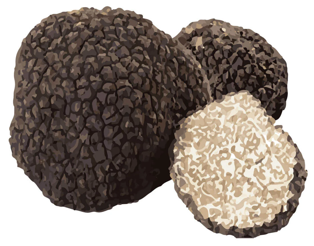 Bastoncino da masticare al formaggio per cani con tartufo nero, taglia S – SwissCowers Cheese Bars Truffle S - immagine 5