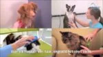 Spazzola in silicone per cani a pelo lungo, rossa – Pet + Me - immagine 6