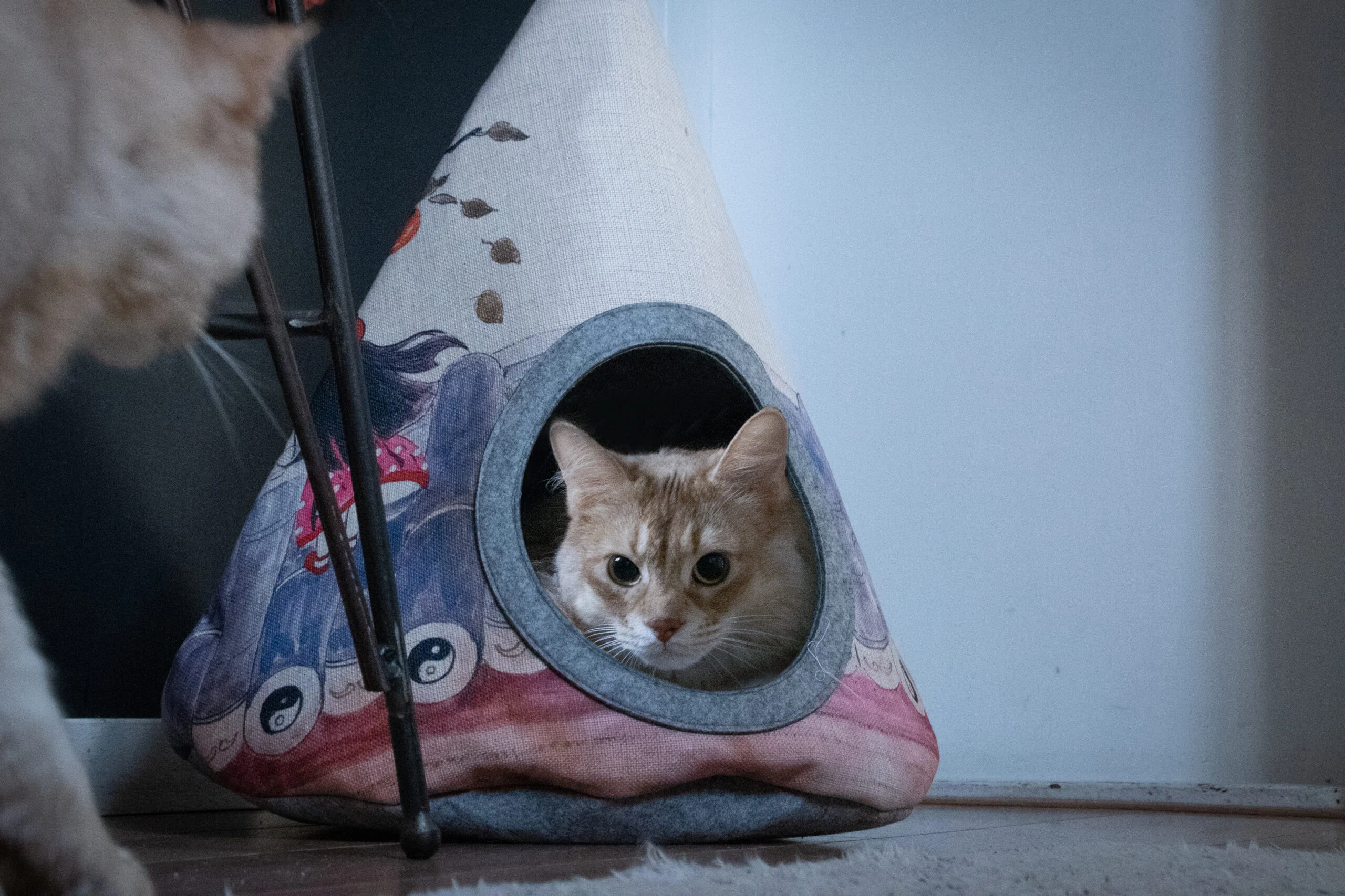Tenda a tipi per gatti con cuscino, 42 x 56 cm – Takara Tipi Yin Yang - immagine 2