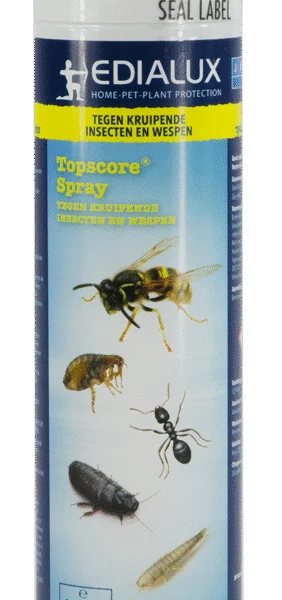 Spray schiumogeno contro insetti striscianti e vespe – Edialux Topscore