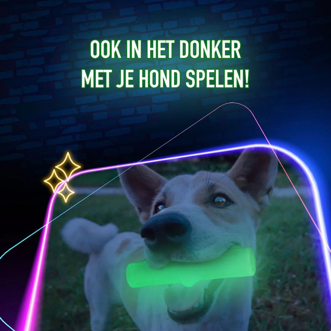 Osso da gioco luminoso per cani – 2 Glow Bone of it's Own - immagine 5
