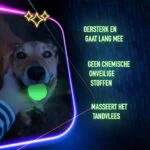 Osso da gioco luminoso per cani – 2 Glow Bone of it's Own - immagine 6