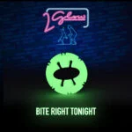 Giocattolo luminoso per cani – 2 Glow Bite Right Tonight - immagine 3