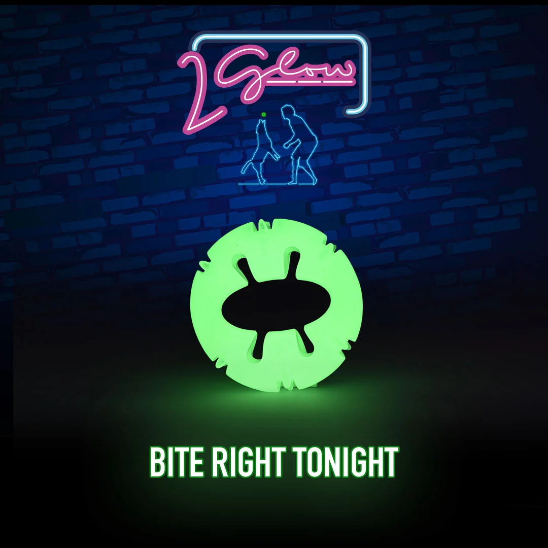 Giocattolo luminoso per cani – 2 Glow Bite Right Tonight - immagine 3