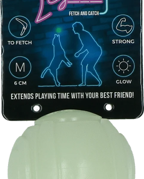 Gioco per cani che si illumina al buio – 2 Glow Fetch & Play