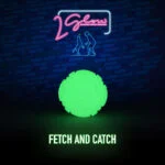 Gioco per cani che si illumina al buio – 2 Glow Fetch & Play - immagine 2