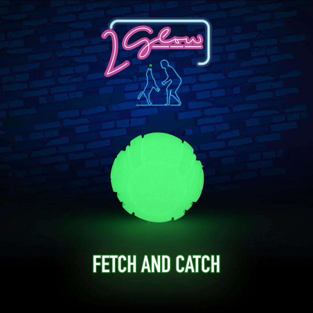 Gioco per cani che si illumina al buio – 2 Glow Fetch & Play - immagine 2