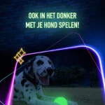 Gioco per cani che si illumina al buio – 2 Glow Fetch & Play - immagine 4