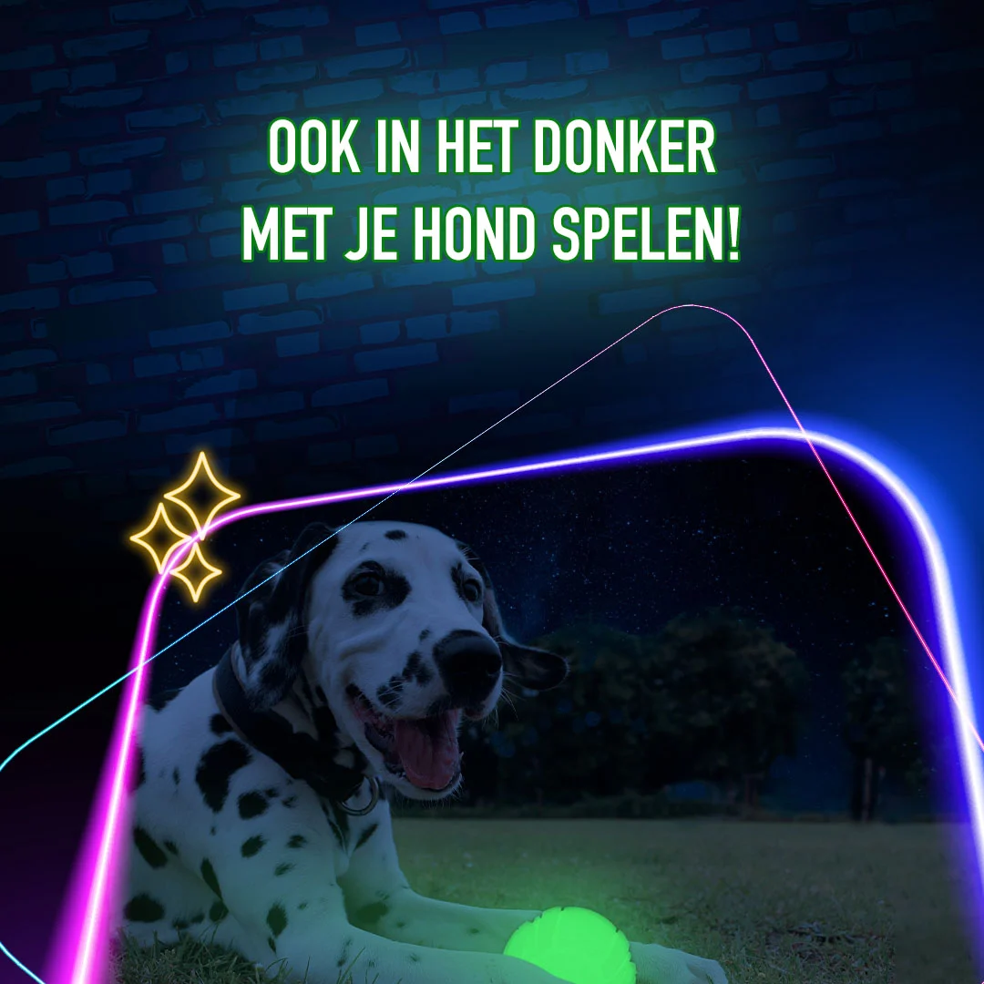Gioco per cani che si illumina al buio – 2 Glow Fetch & Play - immagine 4