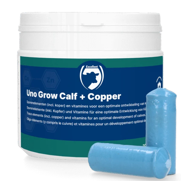 Bolo minerale con rame per vitelli, 20 x 40,5 g – Excellent Uno Grow Calf + Copper