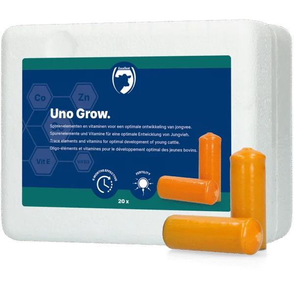 Bolo minerale per bovini giovani, 20 x 112 g – Excellent Uno Grow
