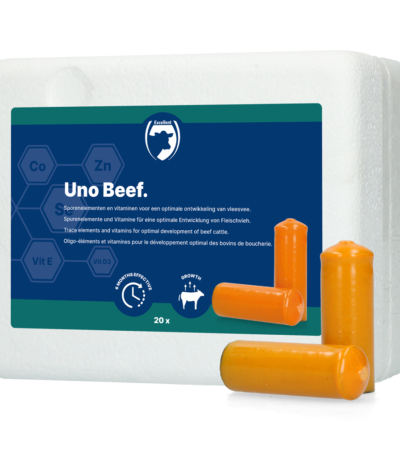 Bolo minerale per bovini da carne, 20 x 112 g – Excellent Uno Vleesvee