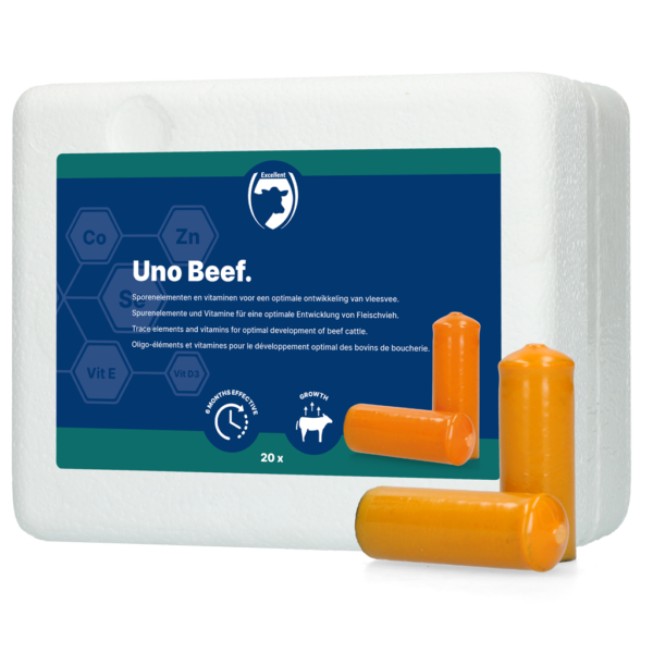 Bolo minerale per bovini da carne, 20 x 112 g – Excellent Uno Vleesvee