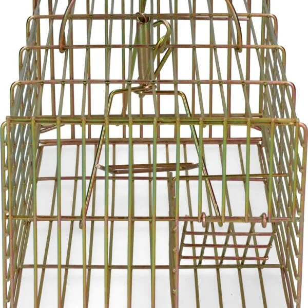 Trappola a ingresso per ratti, cattura viva, 18 x 36 x 12 cm – Hofman Pest Control