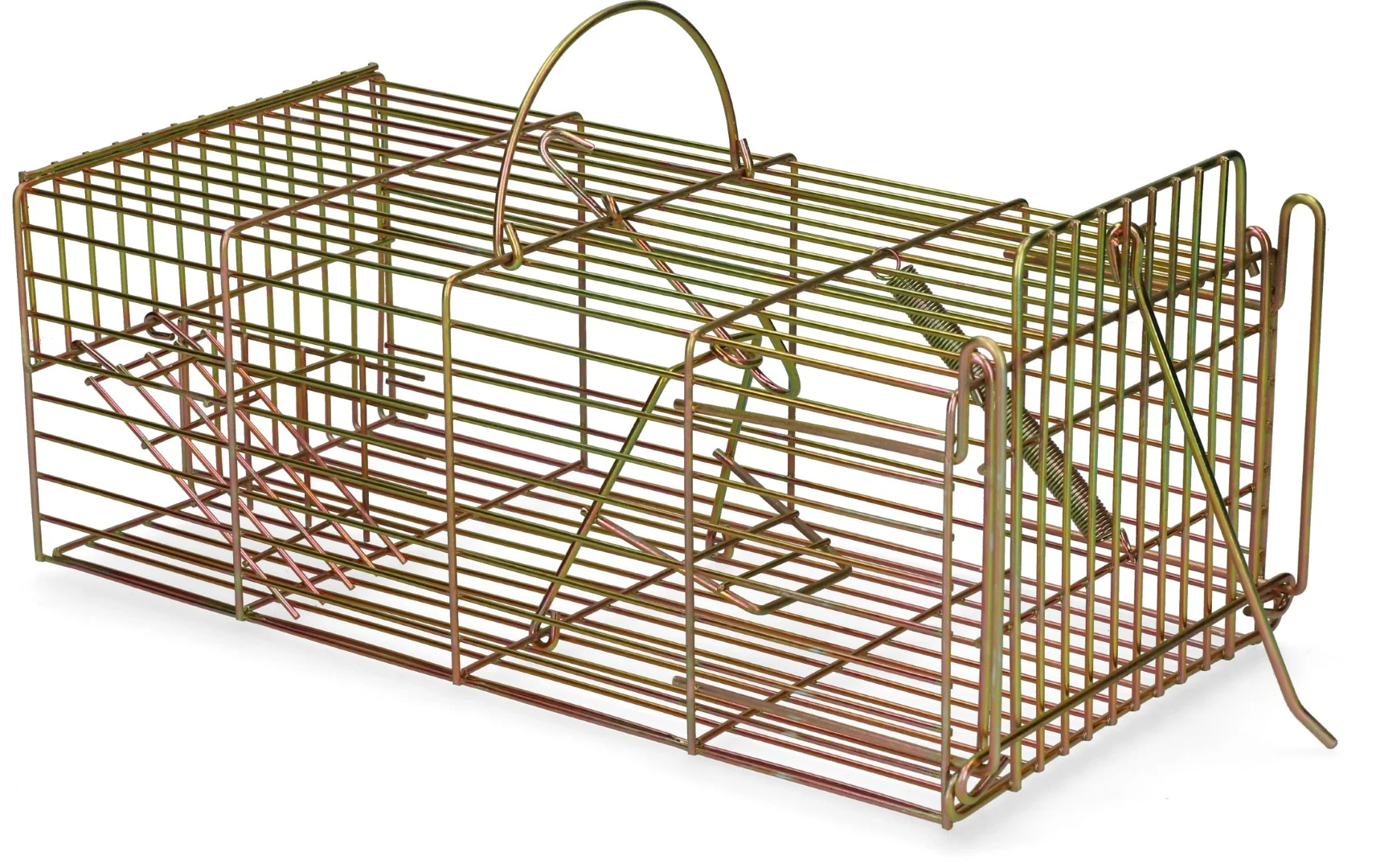 Trappola a ingresso per ratti, cattura viva, 18 x 36 x 12 cm – Hofman Pest Control - immagine 3
