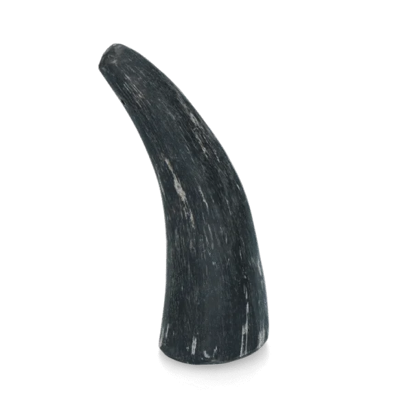 Corno bovino da masticare per cani da 1 a 4 kg – Viking Horn Whole S