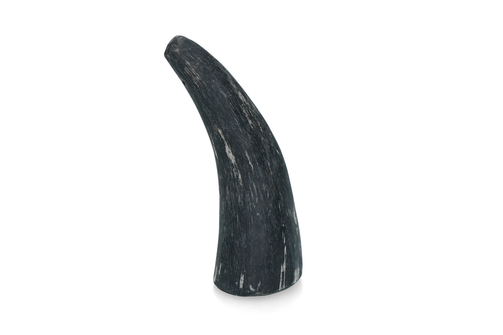 Corno bovino da masticare per cani da 1 a 4 kg – Viking Horn Whole S - immagine 1