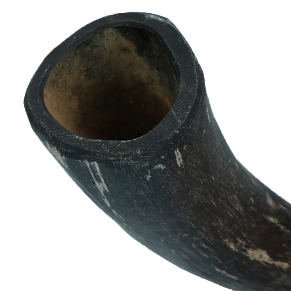 Corno bovino da masticare per cani da 1 a 4 kg – Viking Horn Whole S - immagine 3