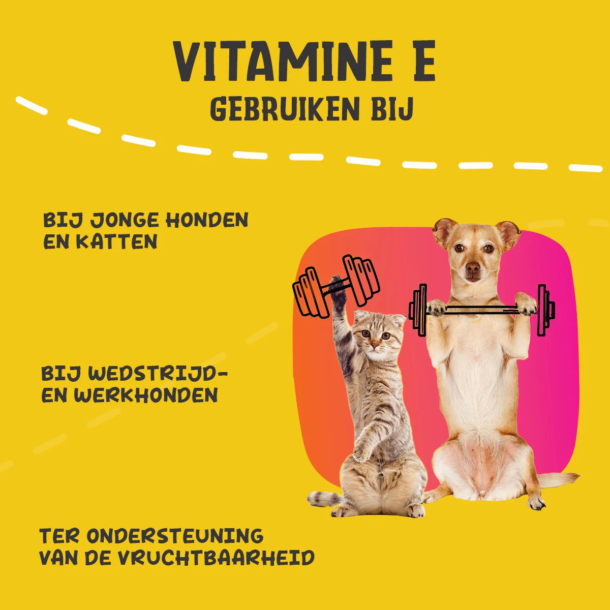 Polvere integratore per cani e gatti con vitamina E e selenio, 250 g – Excellent Pets Vitamin E+ - immagine 6