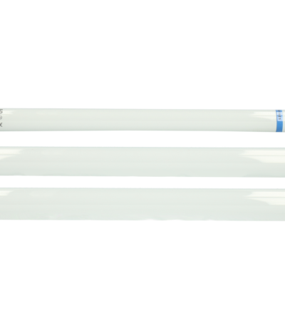 Tubo UV-A per lampada cattura mosche con rivestimento, 14 W, 55 cm (T5) – BL368 Hofman Pest Control