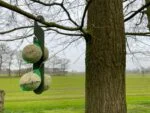 Gancio per palline di grasso per cince, 24,5 cm – Vplast - immagine 6