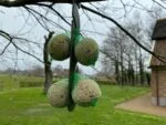 Gancio per palline di grasso per cince, 24,5 cm – Vplast - immagine 4