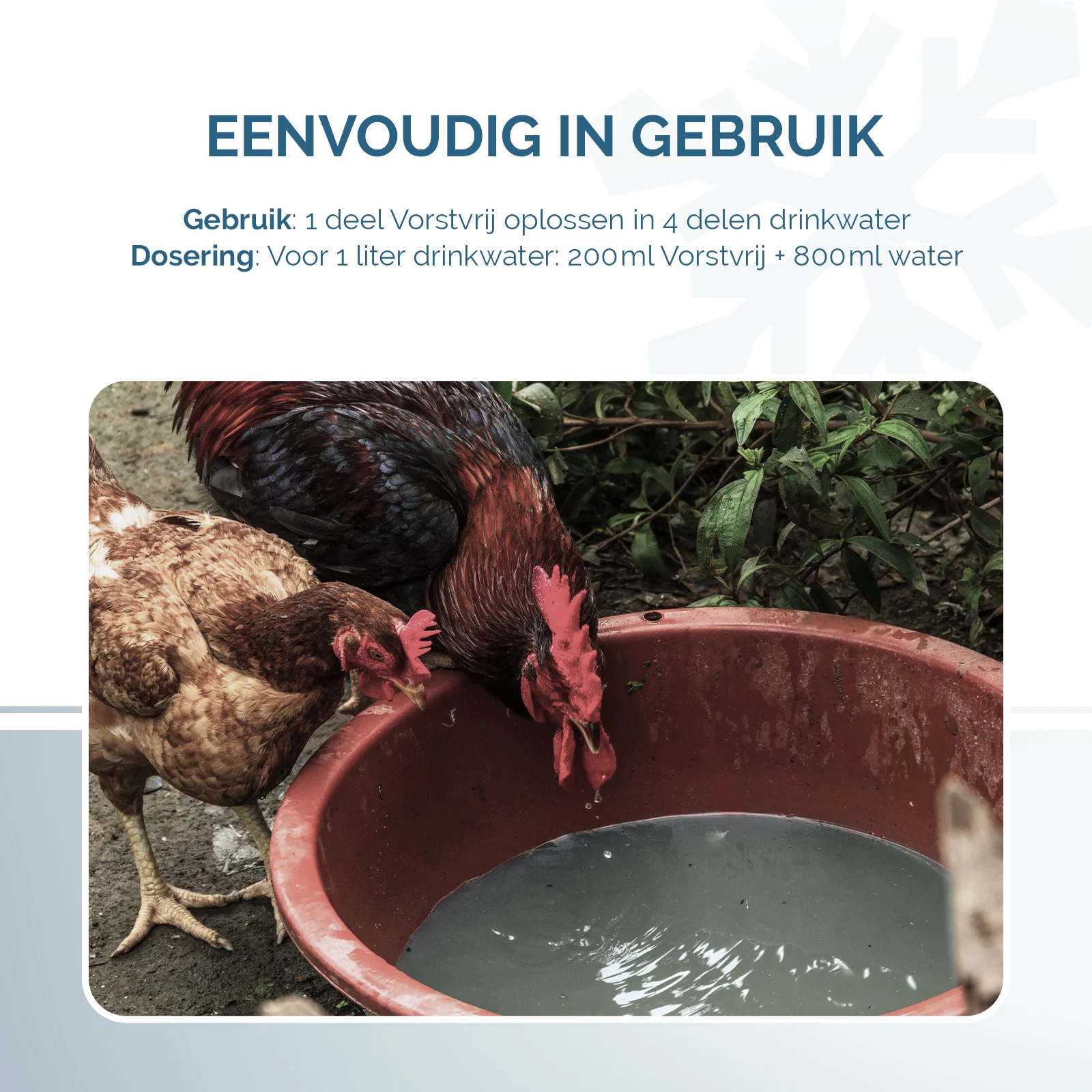 Additivo per l’acqua da bere delle galline contro il gelo, 1 l – Excellent Vorstvrij - immagine 3