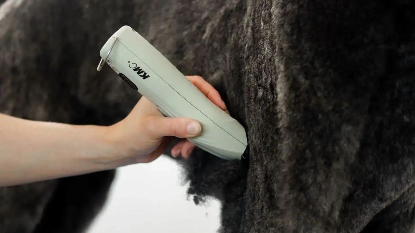 Tosatrice per cavalli con cavo e batteria, 2 velocità – Wahl KMC+ - immagine 2