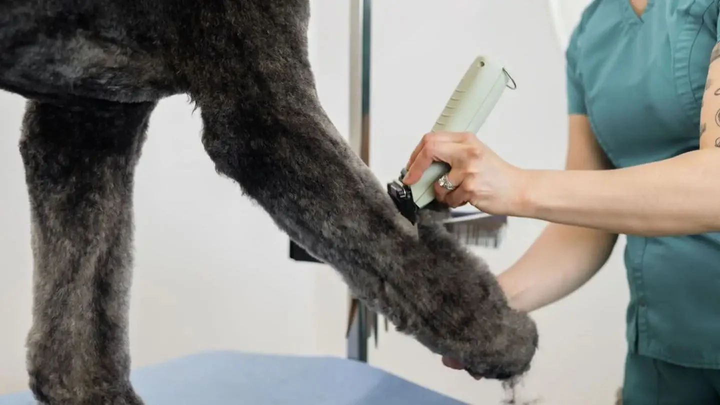 Tosatrice per cavalli con cavo e batteria, 2 velocità – Wahl KMC+ - immagine 3
