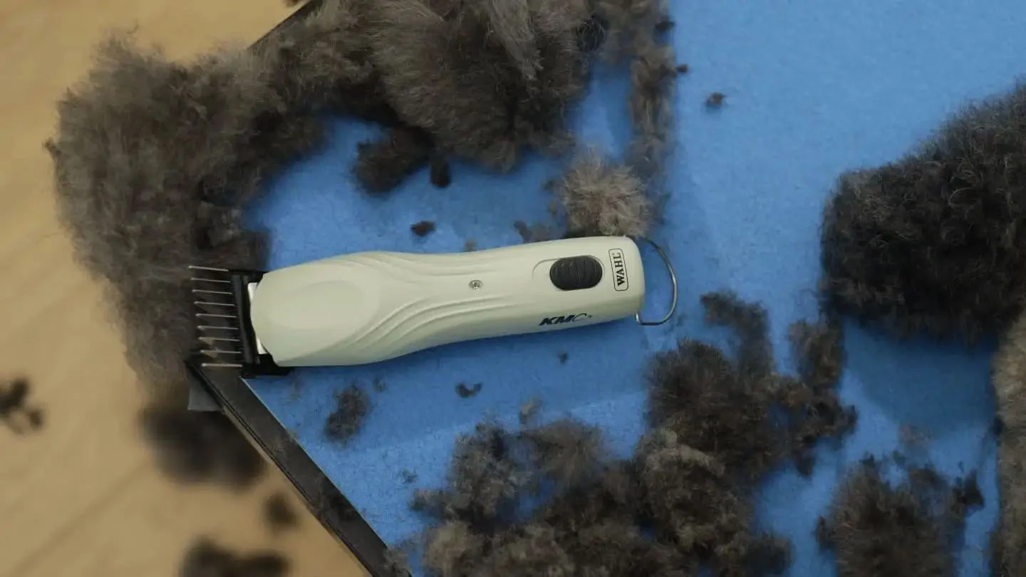 Tosatrice per cavalli con cavo e batteria, 2 velocità – Wahl KMC+ - immagine 4