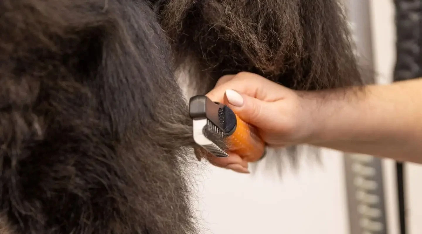 Pettine districante per cani con denti ricurvi in acciaio inox – Wahl Dematter - immagine 5
