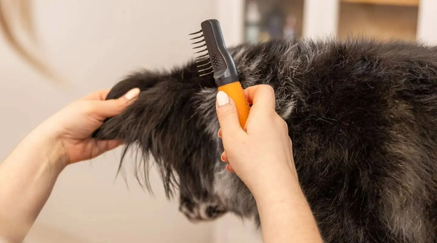 Pettine districante per cani con denti ricurvi in acciaio inox – Wahl Dematter - immagine 3